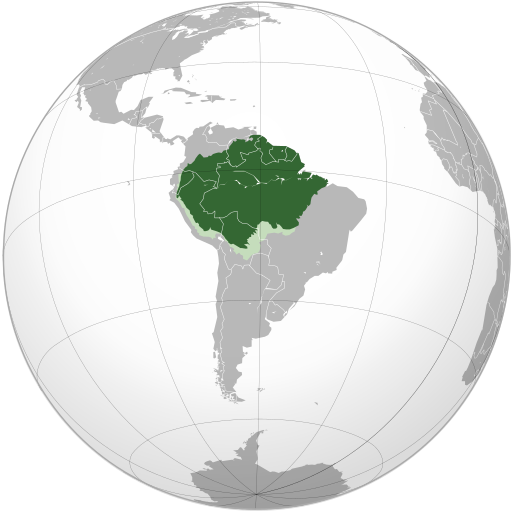 VERDENS STØRSTE. Regnskogen i Amazonas strekker seg over ni ulike land. Brasil, Colombia, Peru, Venezuela, Ecuador, Bolivia, Guyana, Fransk Guyana og Surinam. Foto/ill.: Wikipedia/CactiStaccingCrane