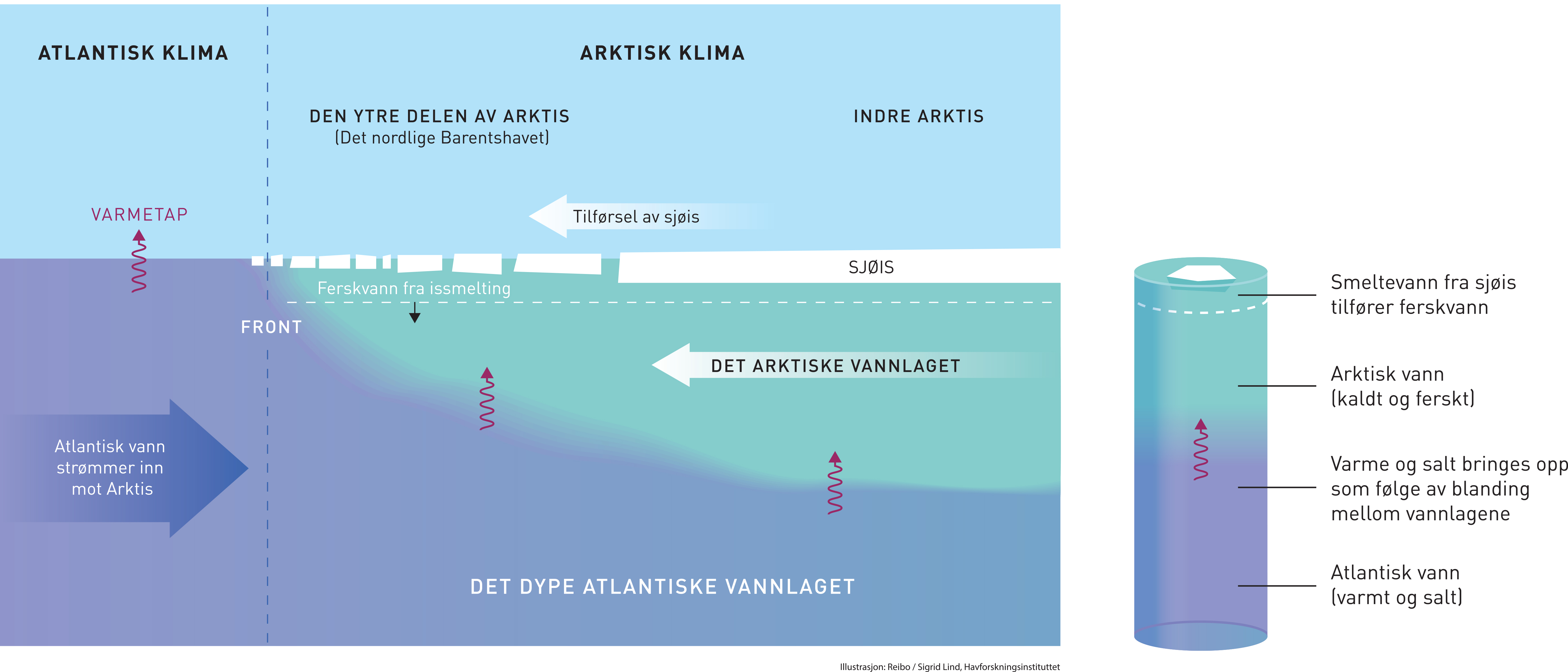 Fra arktisk til atlantisk klima
