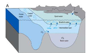 Fjord topography and water layers