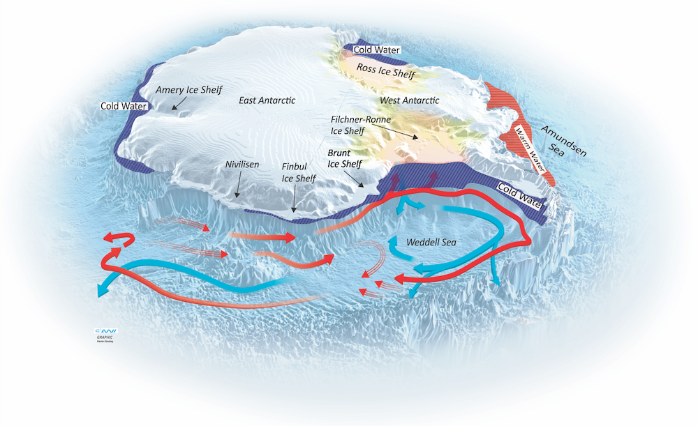 Figur over Antarktis, kontinentalsokkelen og havstraumane 