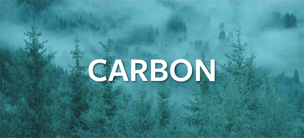icon carbon climate