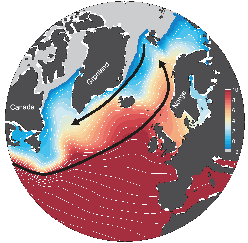 Havstrømmer i Nord-Atlanteren