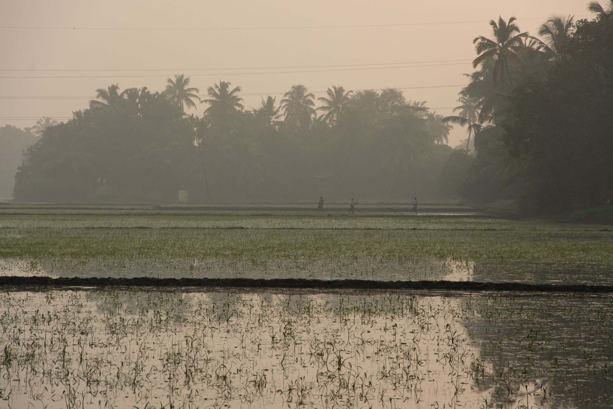 Kerala