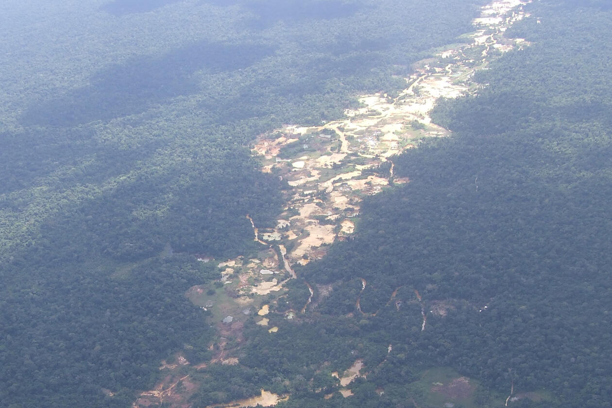 GULLGRAVING. Ulovlig gruvedrift er en alvorlig trussel mot Amazonas biologiske mangfold.Foto/ill.:  Suzette Flantua