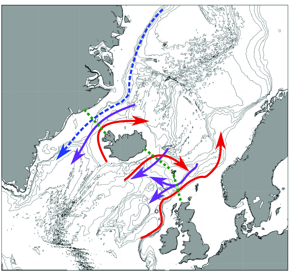 Skisse av omveltningssirkulasjonen i de Nordiske hav. Varmt vann kommer sørfra, avkjøles og synker ned i dypet, før de kalde vannmassene tvinges over Grønland-Skottland-ryggen.