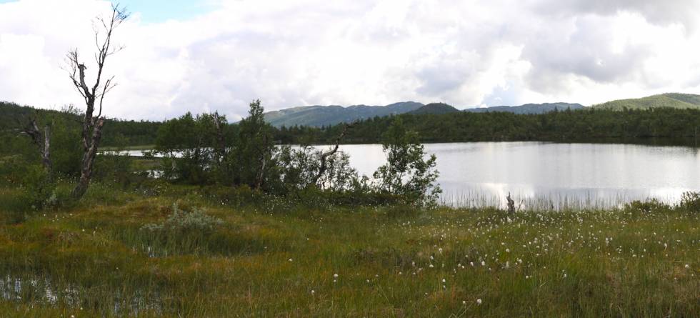 pollen sampling from the lake flotatjønn, Norway. Vivian Felde Astrup