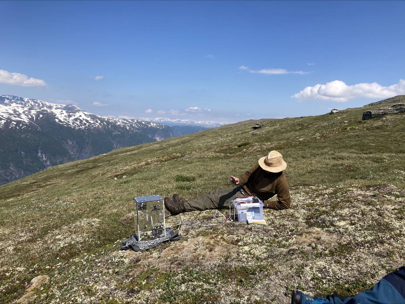 Tundra might turn into a carbon source by global warming